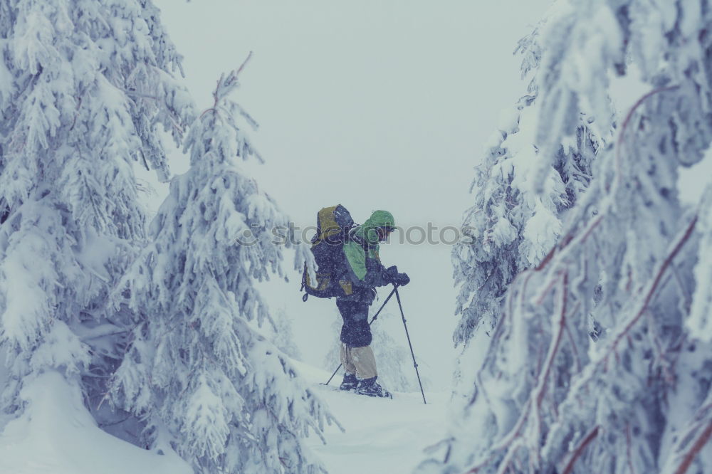 Similar – ski#3 Powder snow Jump