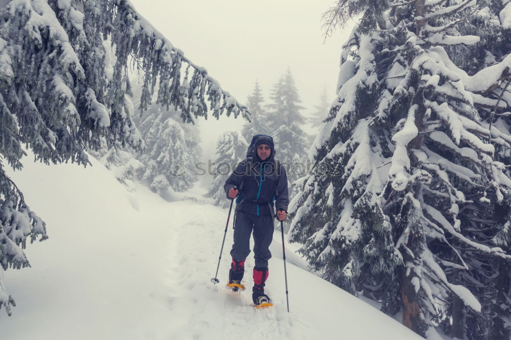 Similar – Image, Stock Photo J.R. Winter Snowboarder