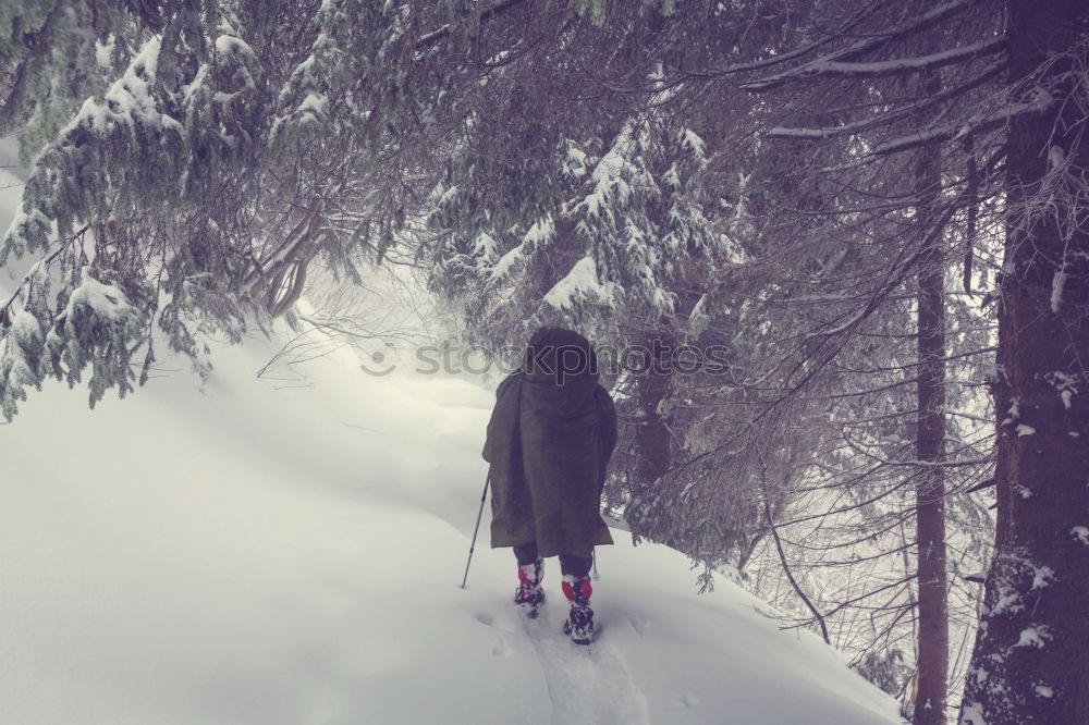 Similar – People climbing hill in snow