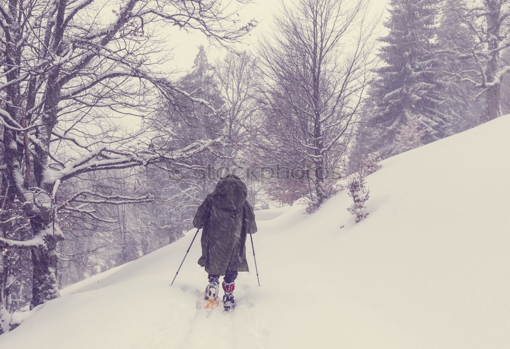 Similar – People climbing hill in snow