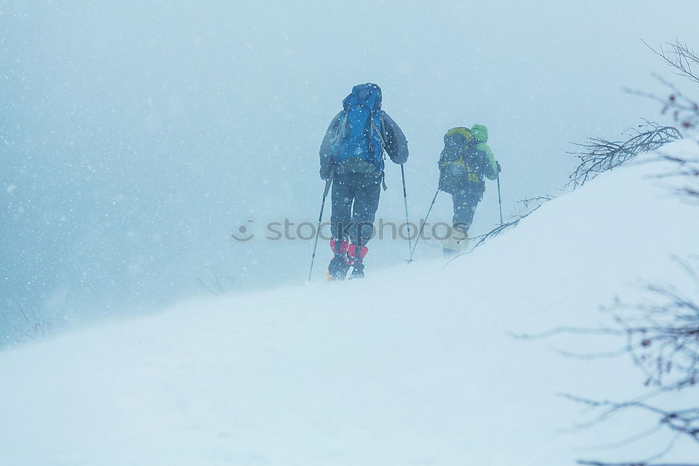 Similar – Image, Stock Photo Jule’s blowing snow Style