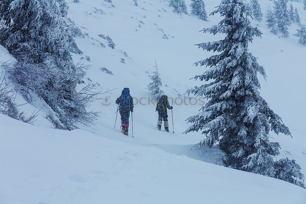 Similar – Image, Stock Photo WEB banner format. Two frends snowboarders are walking through the winter forest. Snowboarding in the forest in the mountains. Backcoutry or freeride style. Life style.