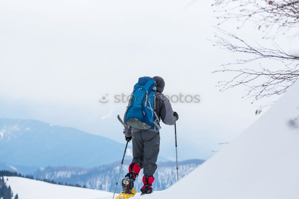 Similar – Image, Stock Photo Tourist with backpack in snowy forest