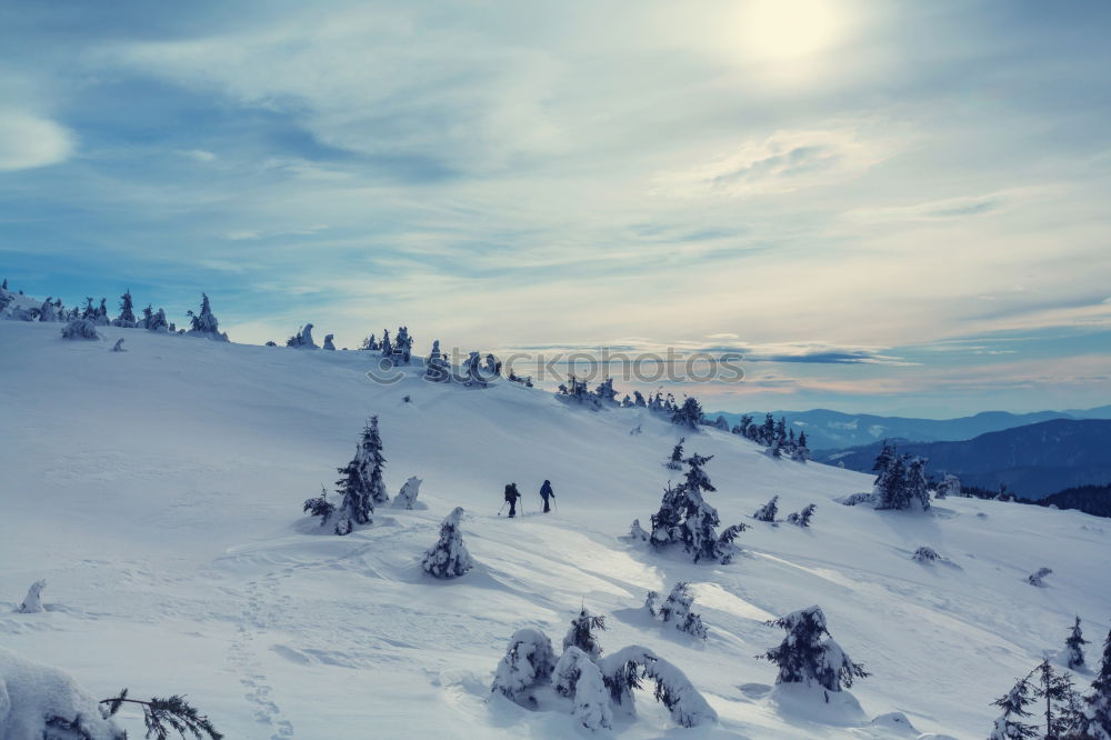 Similar – View from the Unterberg to the foothills of the Alps