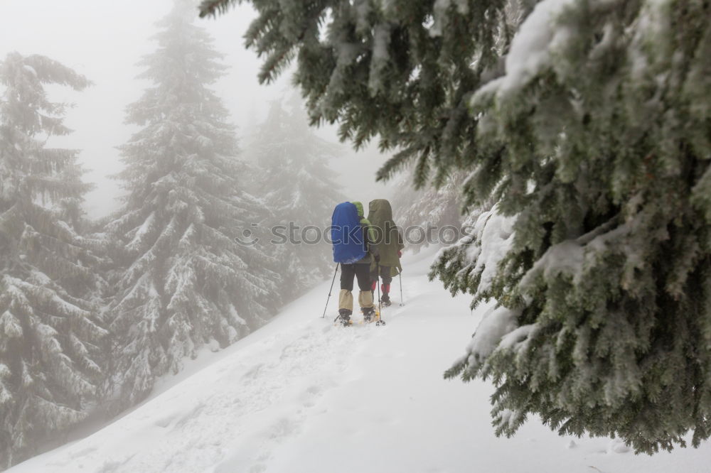 Similar – ski#2 Powder snow Jump