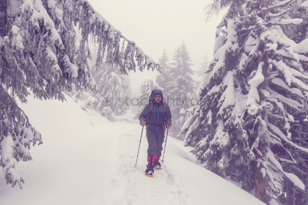 Similar – Image, Stock Photo WEB banner format. Two frends snowboarders are walking through the winter forest. Snowboarding in the forest in the mountains. Backcoutry or freeride style. Life style.