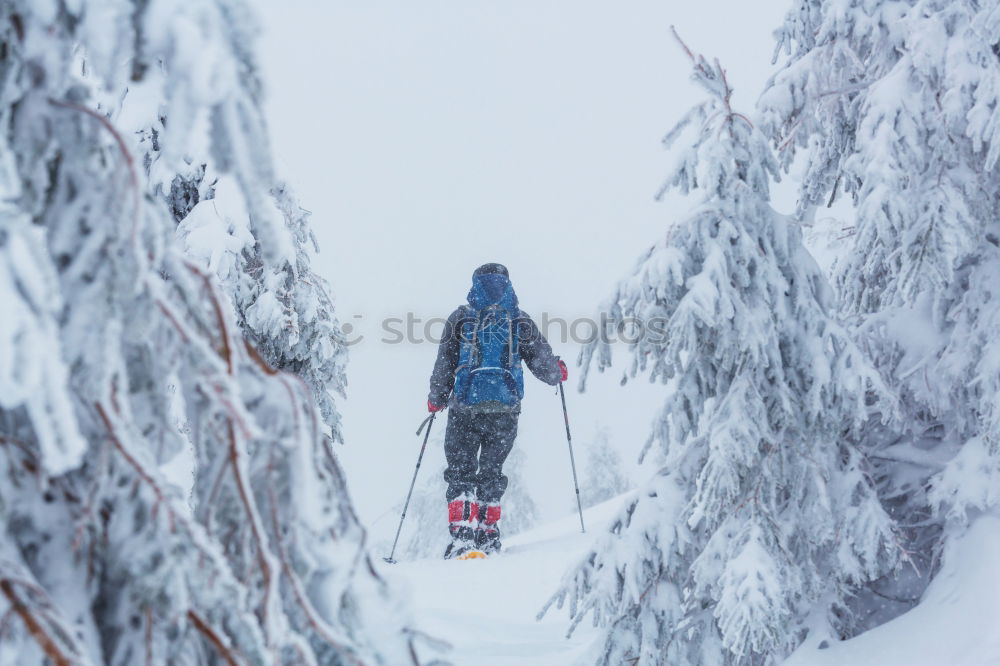 Similar – ski#3 Powder snow Jump