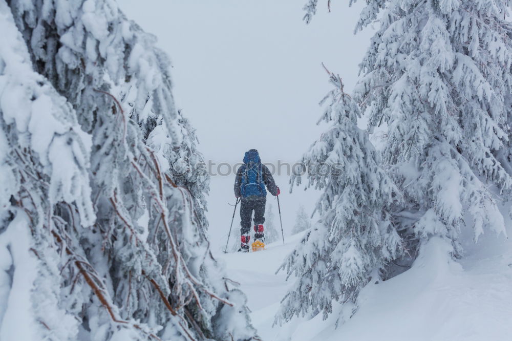 Similar – People climbing hill in snow