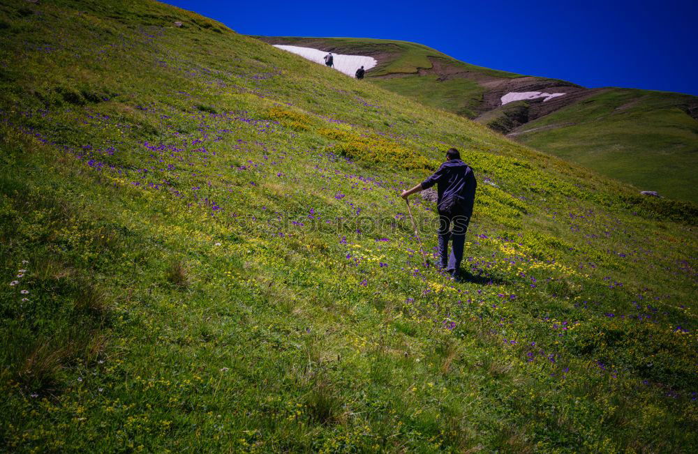 Similar – Image, Stock Photo Ascent to the summit