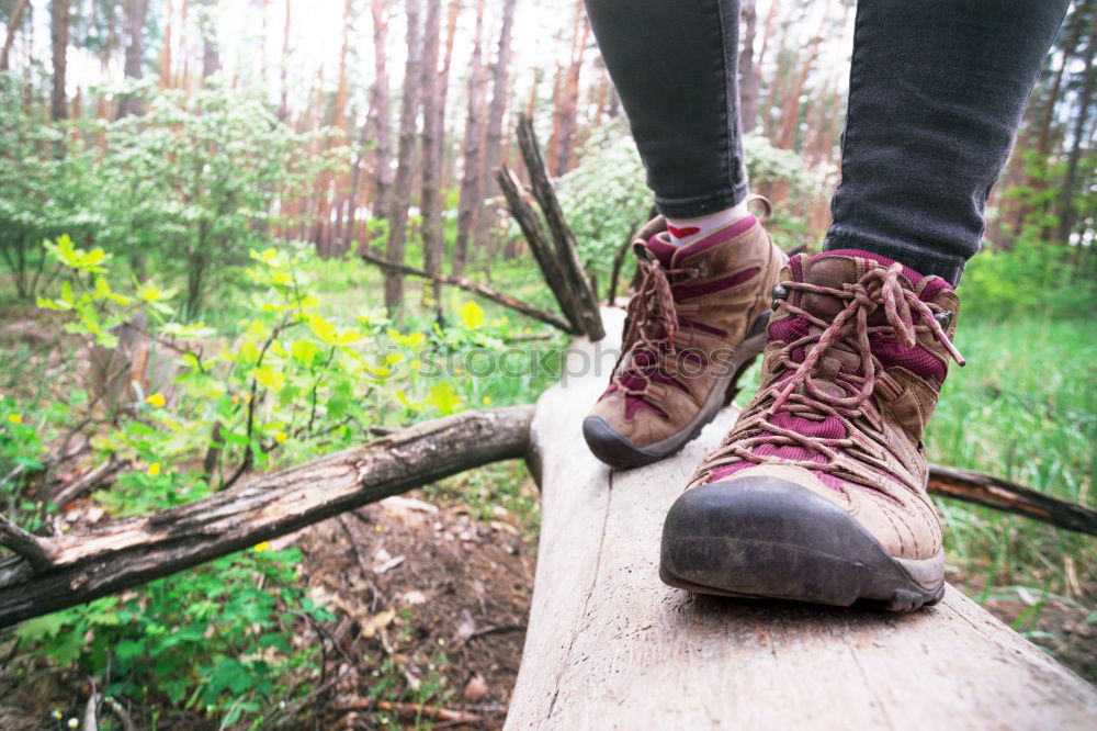 Similar – Image, Stock Photo happy kid girl exploring summer forest