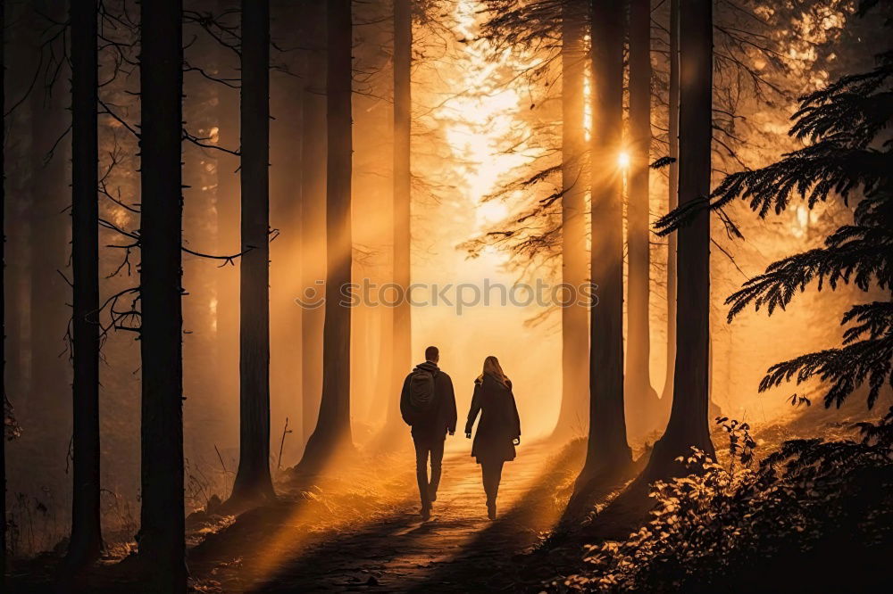 Similar – Image, Stock Photo fluffier Forest Estonia