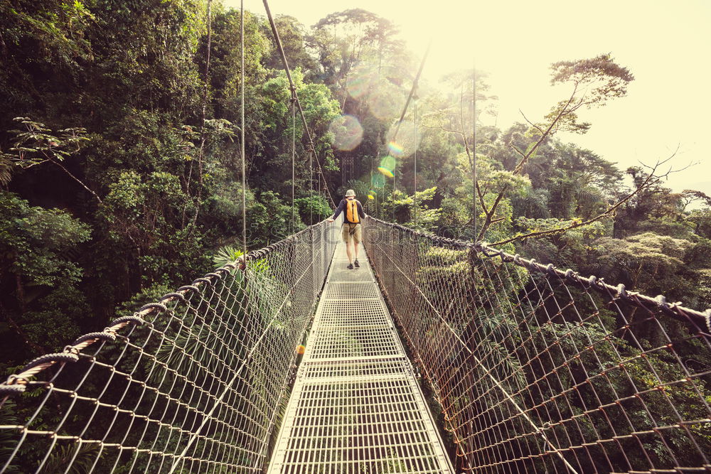 Similar – Hängebrücke zwischen zwei grossen Bäumen, Amazonasbecken, Peru, Südamerika