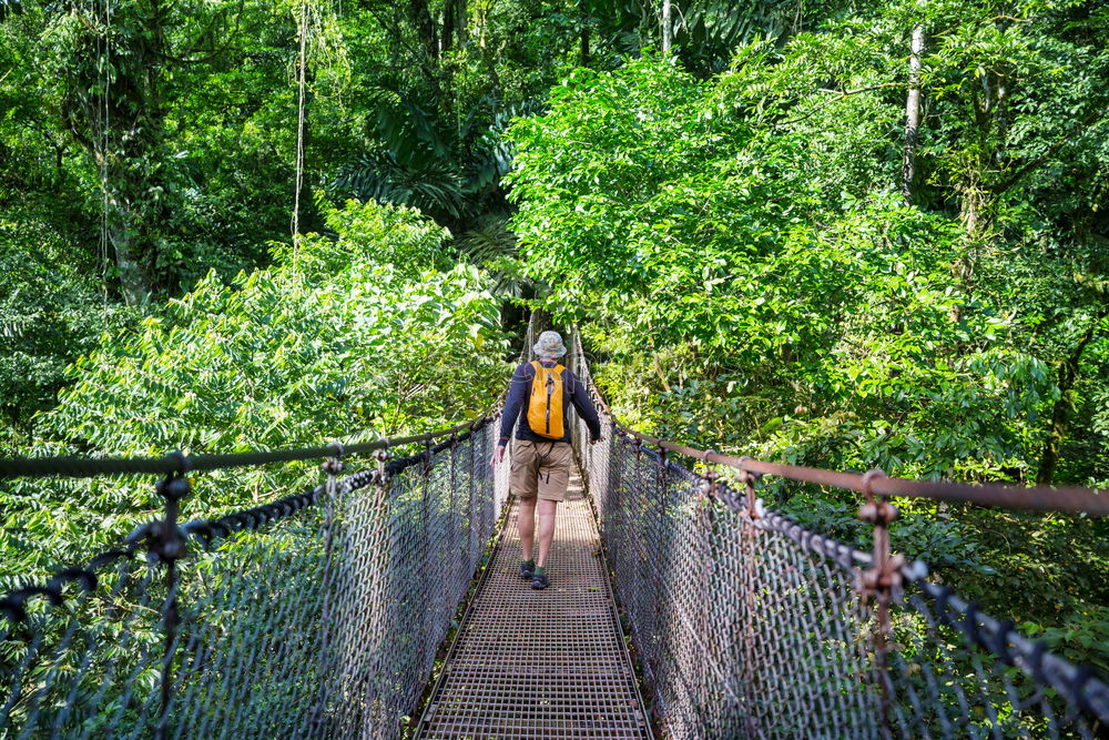 Similar – Woman walking on bridge