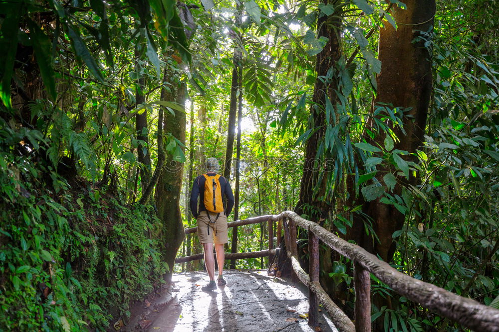 Similar – Image, Stock Photo Amazon. Tropical Rainforest. Jungle Landscape. Amazon Yasuni National Park, Ecuador. South America.