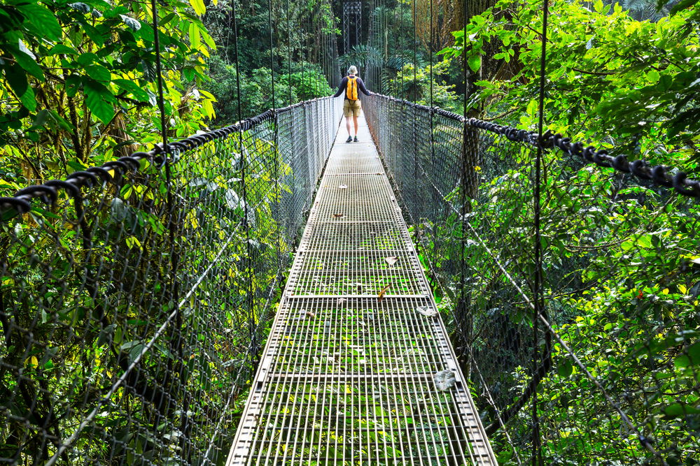 Hängebrücke zwischen zwei grossen Bäumen, Amazonasbecken, Peru, Südamerika