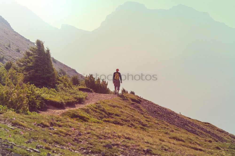 Similar – Image, Stock Photo Hikers on Alpine crossing | Timmelsjoch | E5