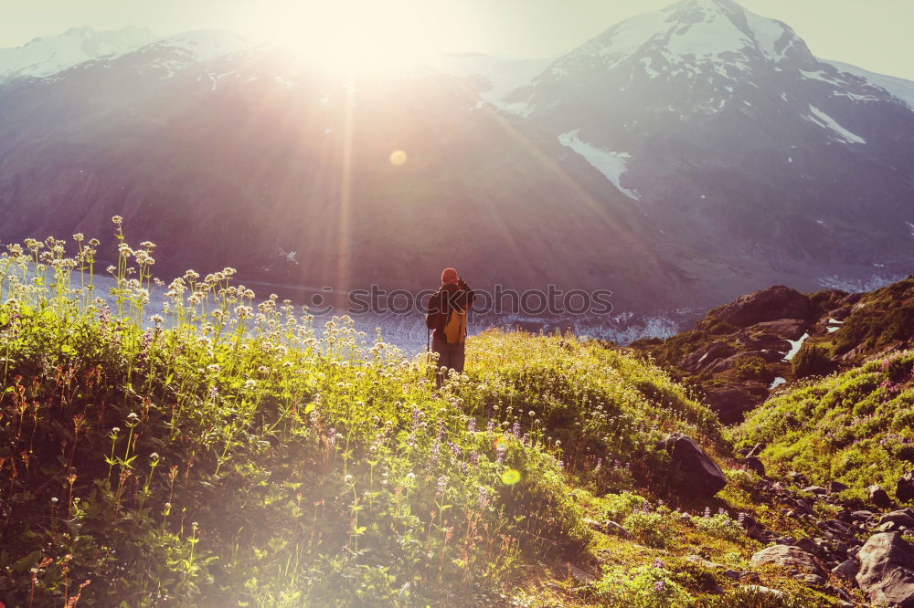 Similar – Image, Stock Photo Young woman crossing the Alps