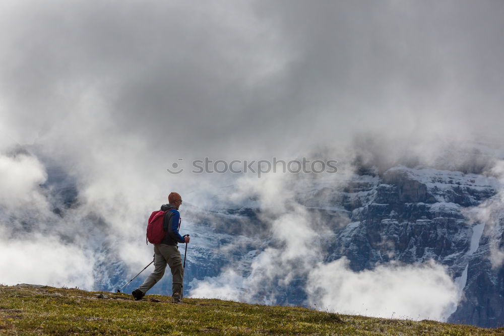 Similar – Image, Stock Photo towards the lake