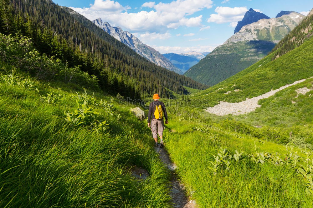 Image, Stock Photo Women walking on rural road