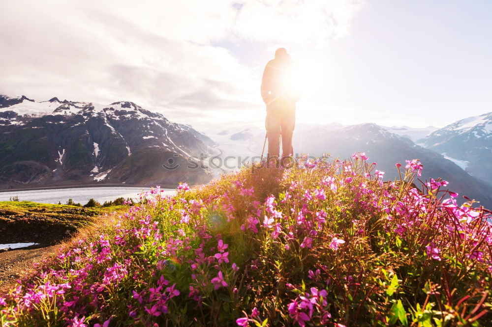 Similar – Image, Stock Photo Cheerful women running on mountain road