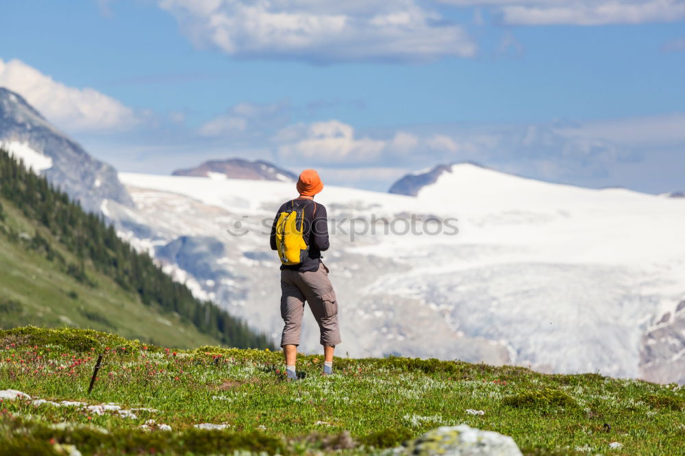 Similar – Image, Stock Photo Discover Nature II Hand