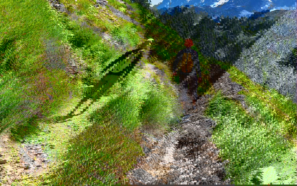 Similar – Foto Bild Frau mit Rucksack macht Bergwanderung im Vinschgau, Italien