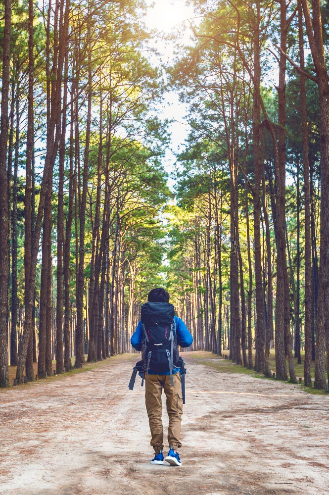 Similar – Boy hiking among the dwarf pine