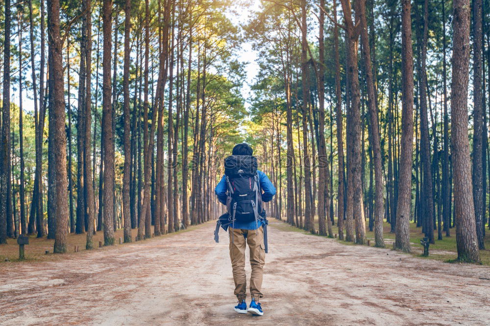 Similar – Hiker in forest with hands up