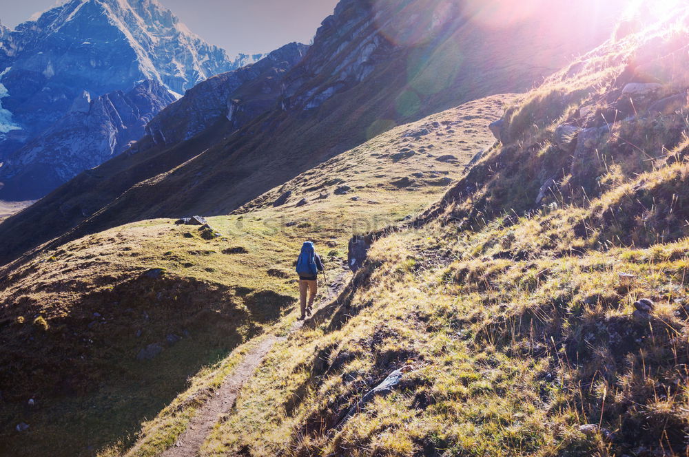 Similar – Image, Stock Photo Hikers on Alpine crossing | Timmelsjoch | E5