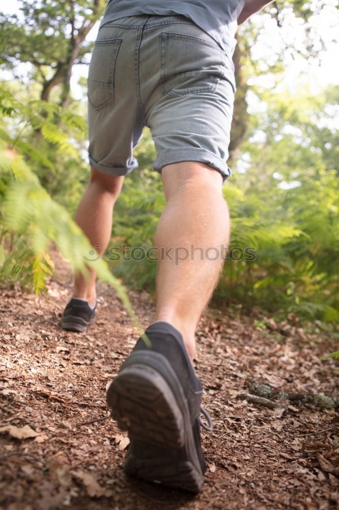 Similar – Image, Stock Photo Athletic young woman jogging along a forest track