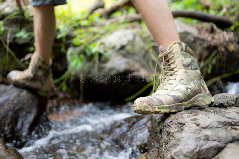 Similar – Image, Stock Photo Women’s leather casual shoes on wood in the forest