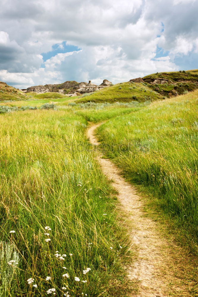 Similar – Irgendwo zwischen den Dünen.