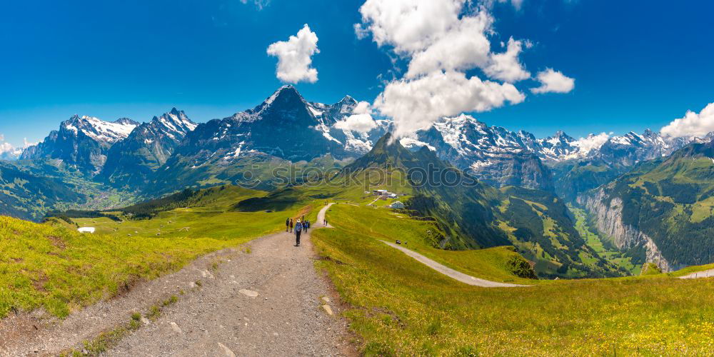 Similar – Image, Stock Photo View of the Allgauer Alps