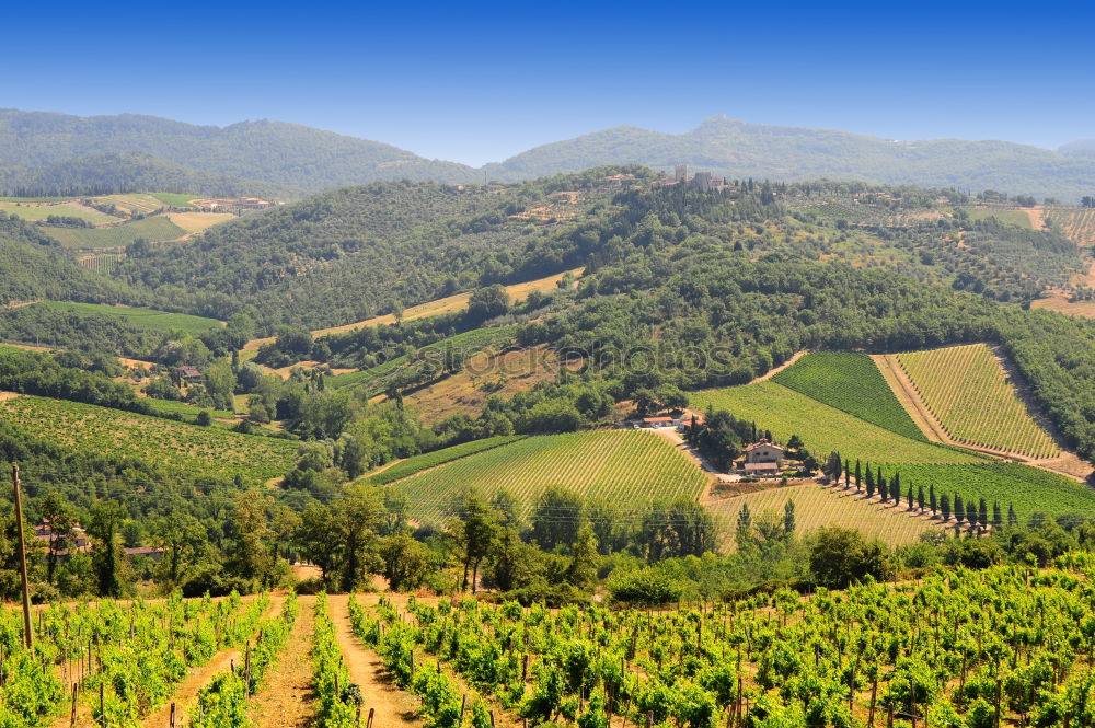 Similar – Image, Stock Photo Viticulture in the Douro Valley