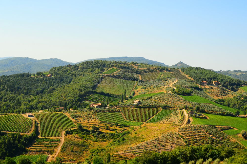 Similar – Image, Stock Photo Viticulture in the Douro Valley