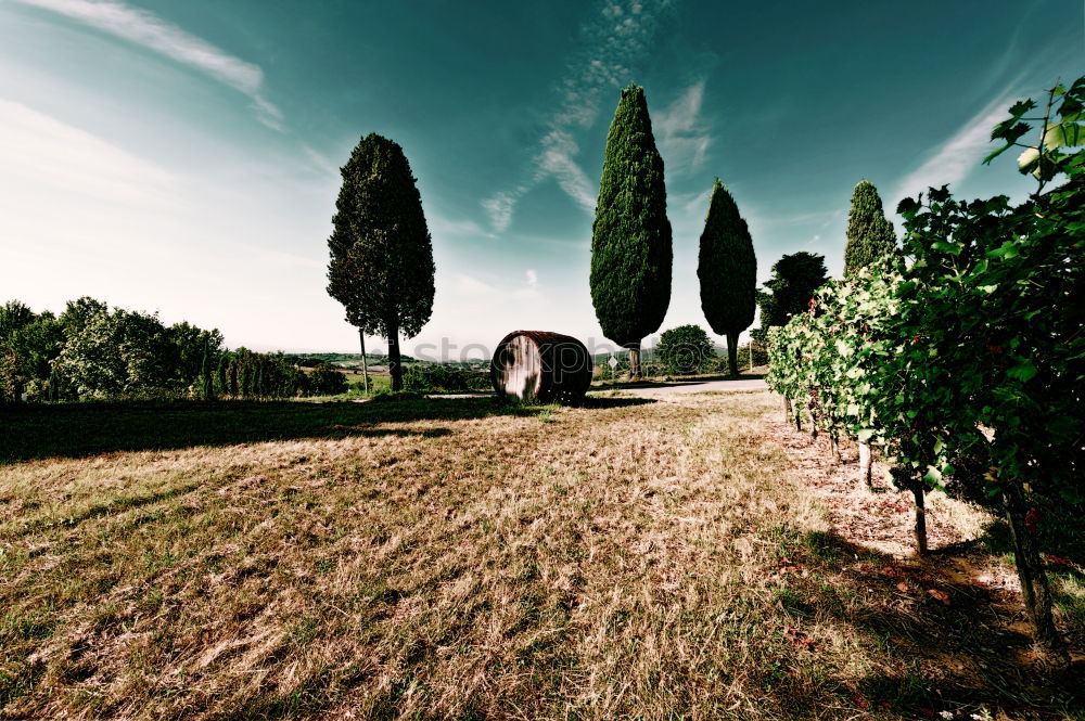 Similar – Val d’Orcia