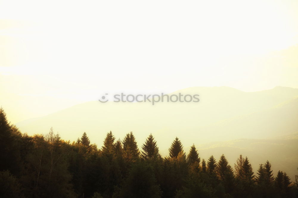 Similar – Image, Stock Photo china_01 Street lighting