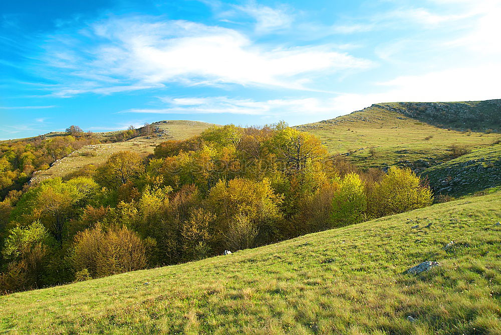 Similar – Image, Stock Photo View of Vienna 2