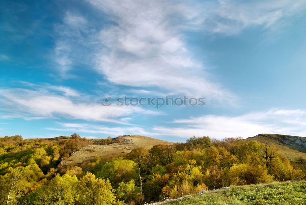 Similar – Image, Stock Photo Fruit plantation in spring