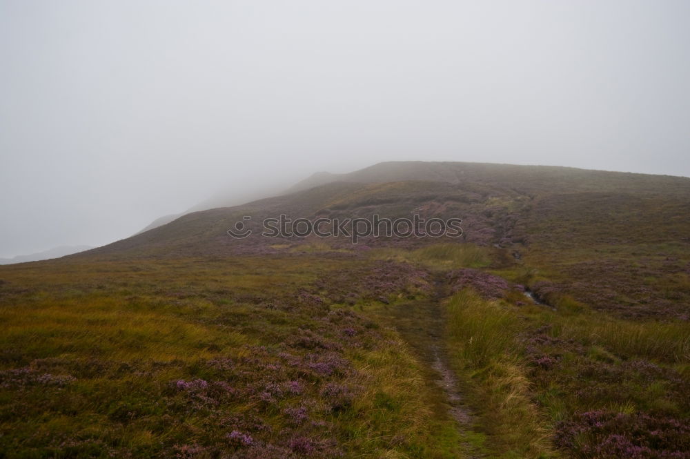 The Way to the Top Park