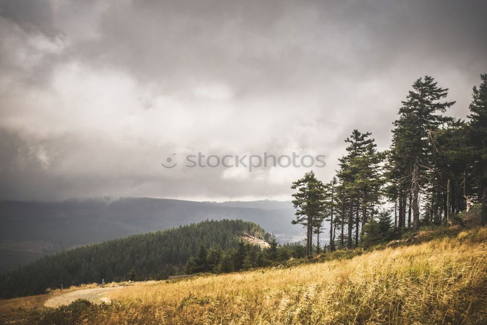 Similar – Image, Stock Photo Backpacker in rural field