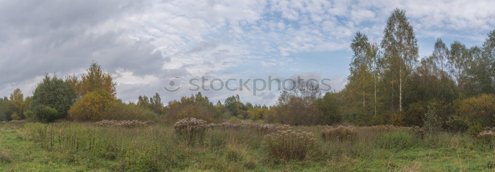 Similar – Auf der anderen Seite Baum