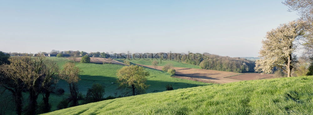 Similar – Image, Stock Photo soon with bridge Tourism
