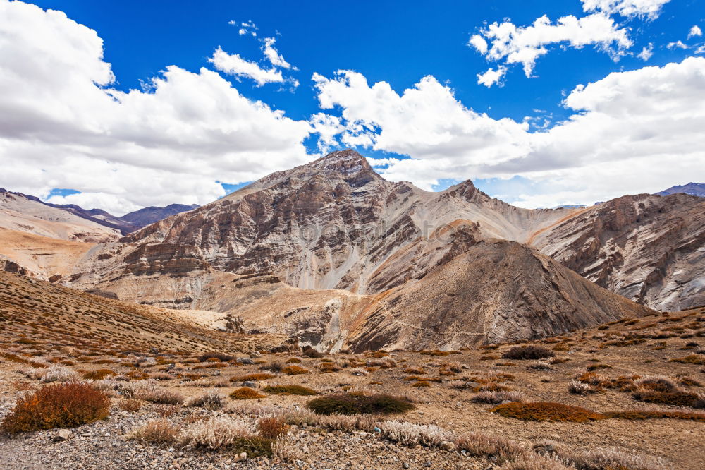 Similar – Aconcagua Trekking Hiking