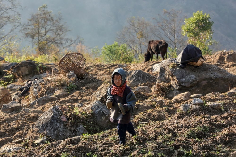 Similar – Image, Stock Photo Nepal’s Children Asia