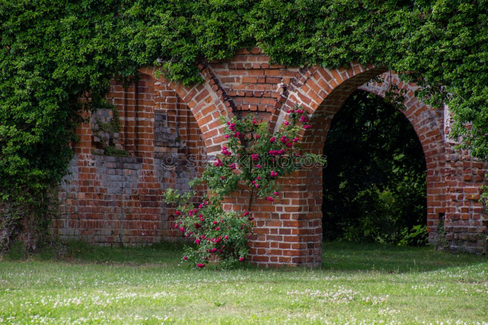 Similar – Together Wall (barrier)