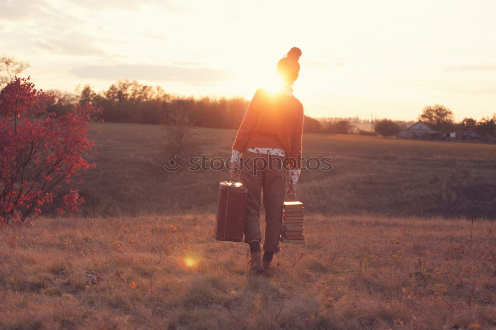 Similar – Image, Stock Photo Sunset. Woman Evening