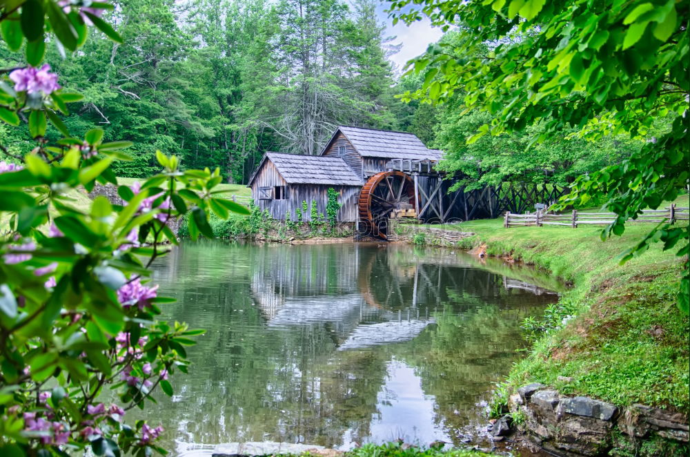 Similar – Image, Stock Photo Building in the Spreewald in Lehde