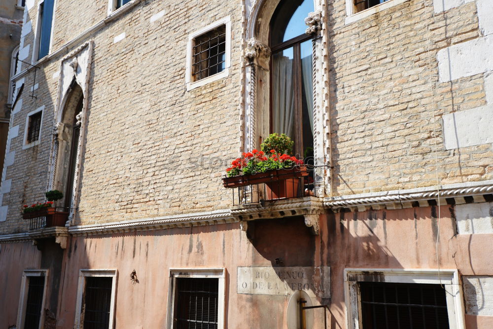 Similar – Image, Stock Photo The Grey Courtyard Farm