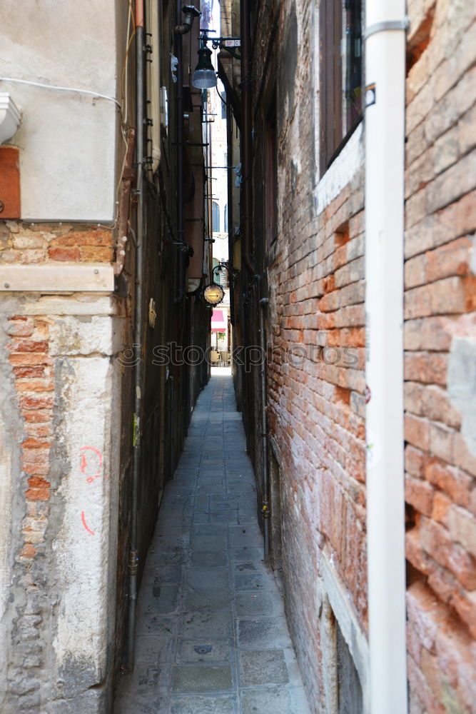 Similar – Image, Stock Photo Smiling woman in alley